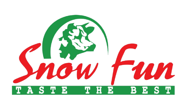 SnowFun Logo